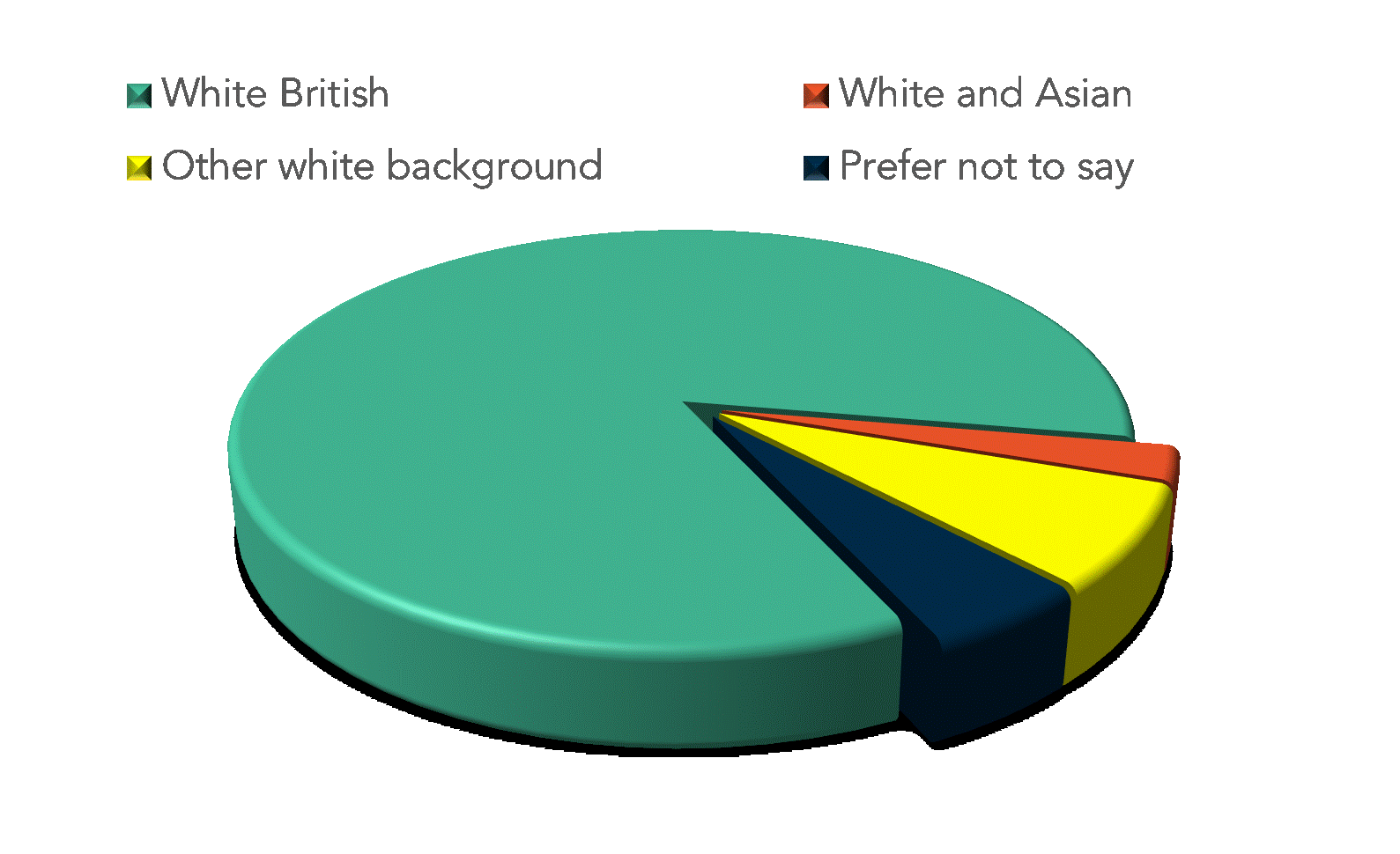 Ethnicity infographic